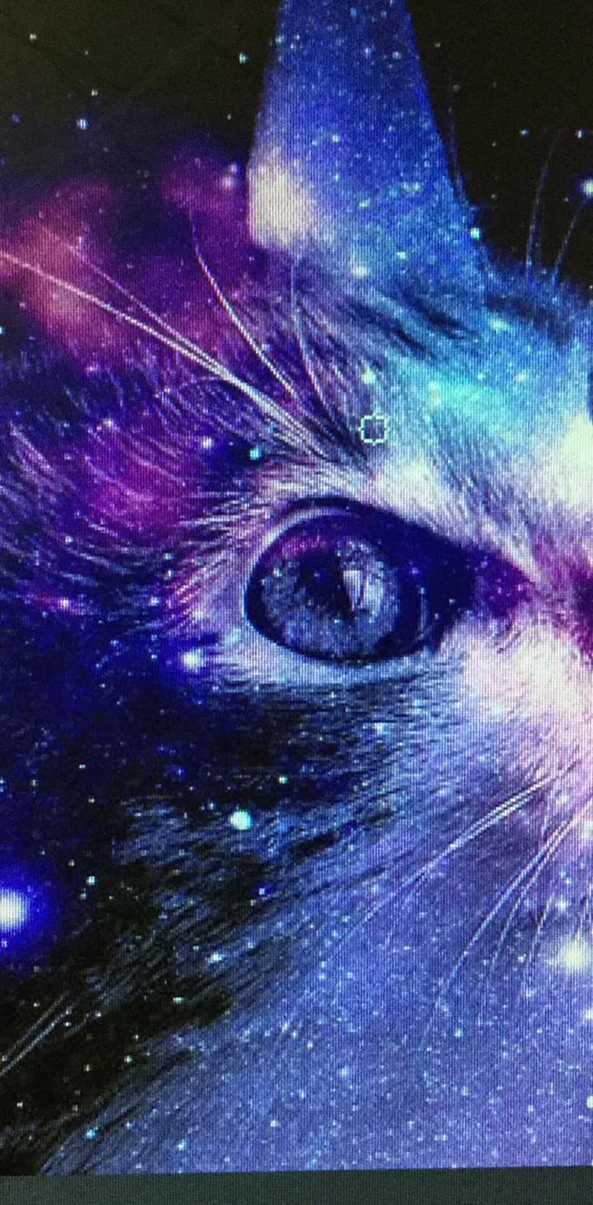Galaxy cat by FuckUBicth - on ZEDGEâ, Amazing Cat Galaxy HD phone wallpaper